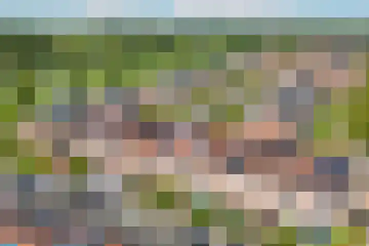 Zwanebloem 7 De Meern thumbnail 45