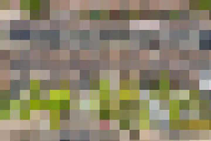Zwanebloem 7 De Meern thumbnail 47