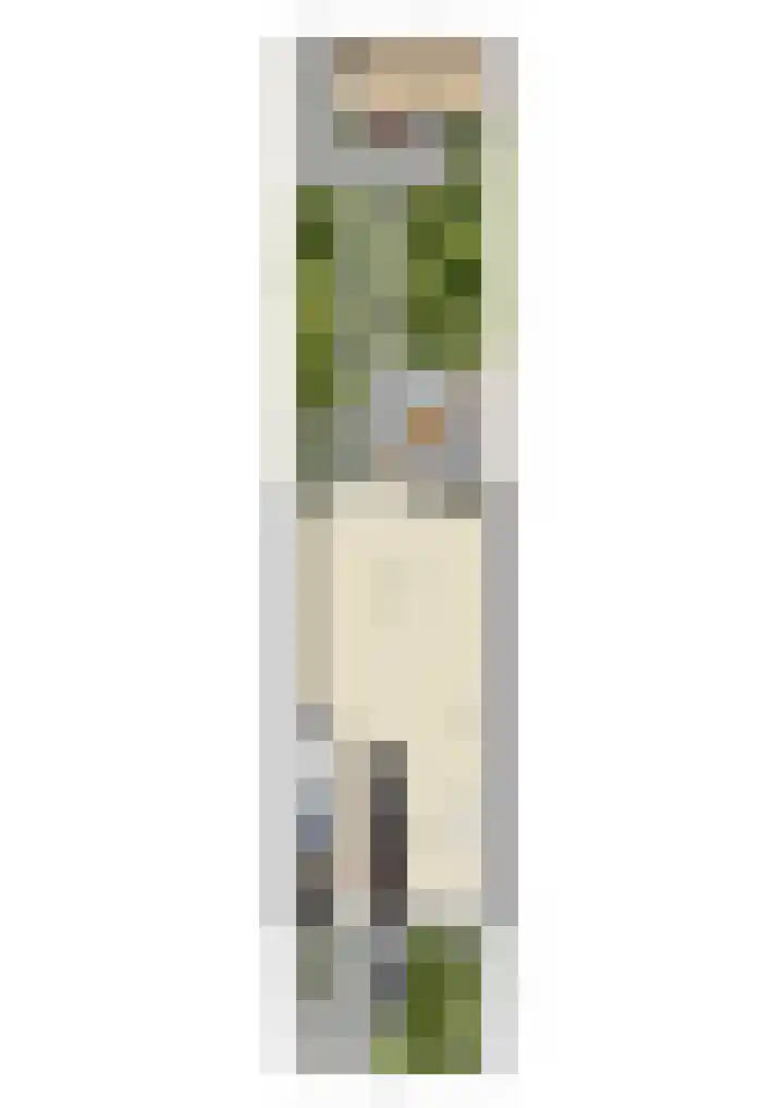 Zwanebloem 7 De Meern thumbnail 54
