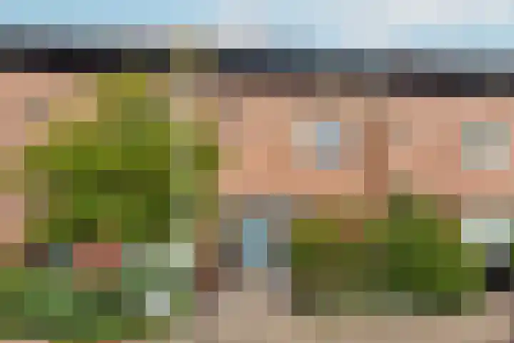 Zwanebloem 7 De Meern thumbnail 58