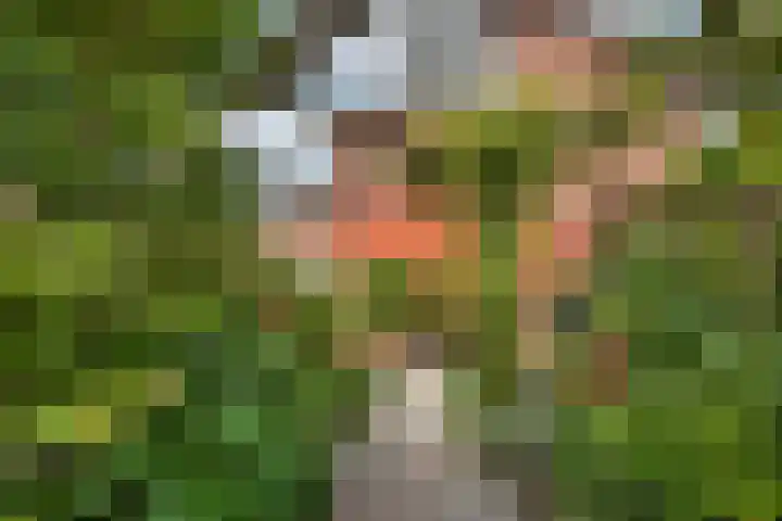 Zwanebloem 7 De Meern thumbnail 8