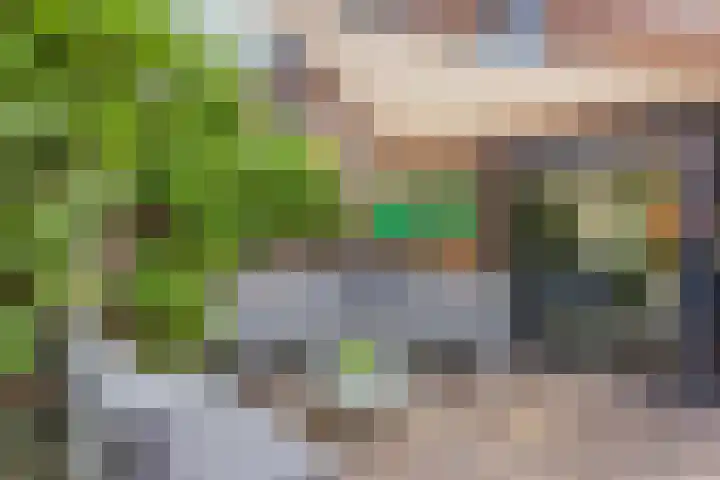 Zwanebloem 7 De Meern thumbnail 9