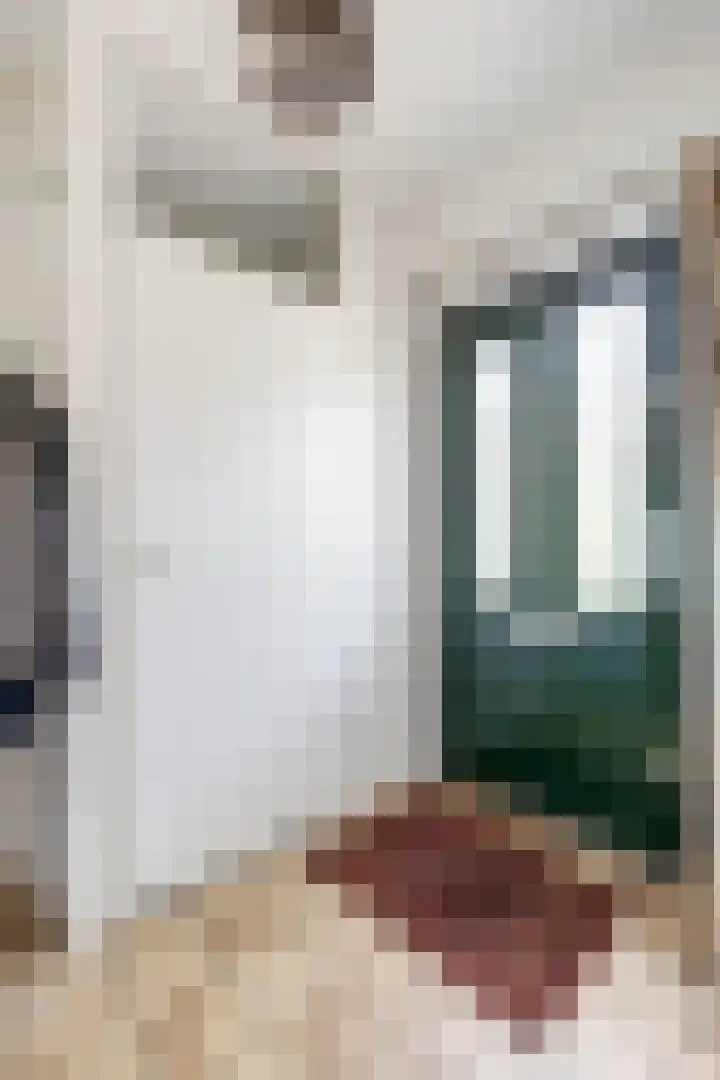 Zwanebloem 7 Maartensdijk thumbnail 11