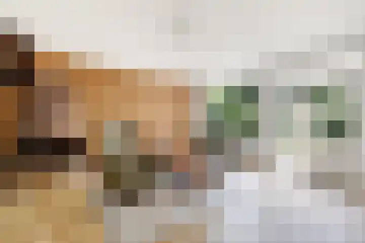 Zwanebloem 7 Maartensdijk thumbnail 13