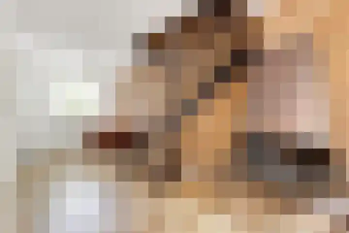 Zwanebloem 7 Maartensdijk thumbnail 14