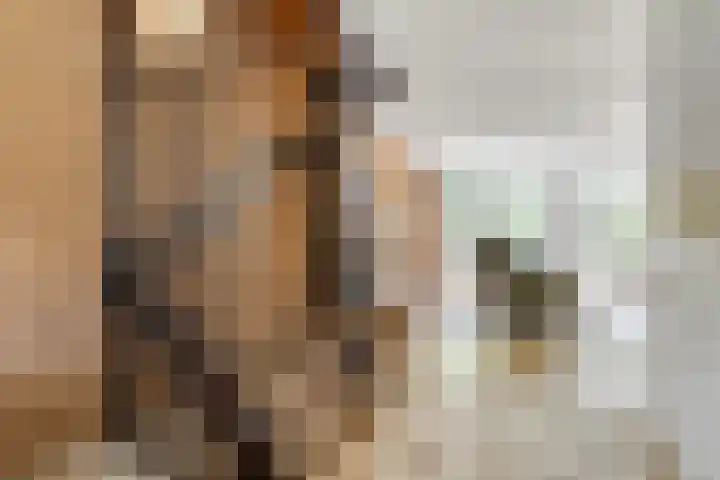 Zwanebloem 7 Maartensdijk thumbnail 15