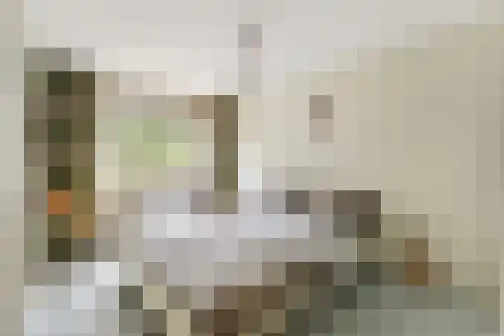Zwanebloem 7 Maartensdijk thumbnail 19