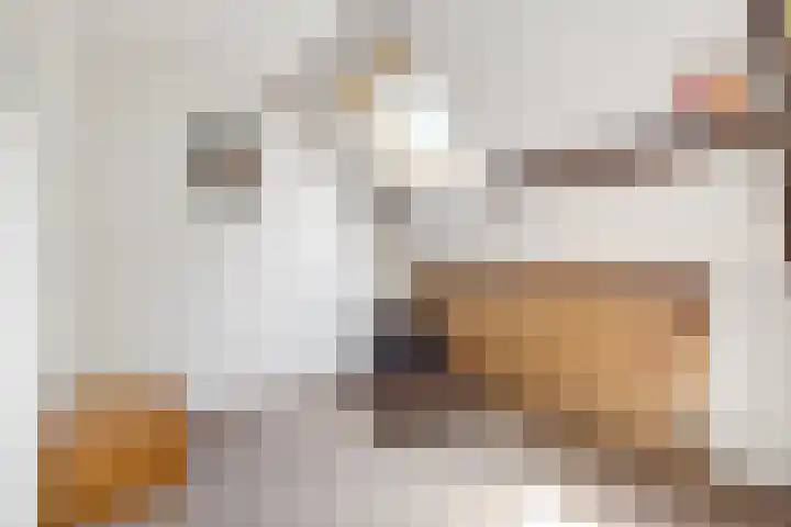 Zwanebloem 7 Maartensdijk thumbnail 21