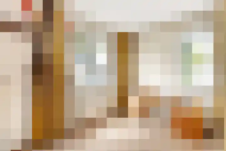 Zwanebloem 7 Maartensdijk thumbnail 22