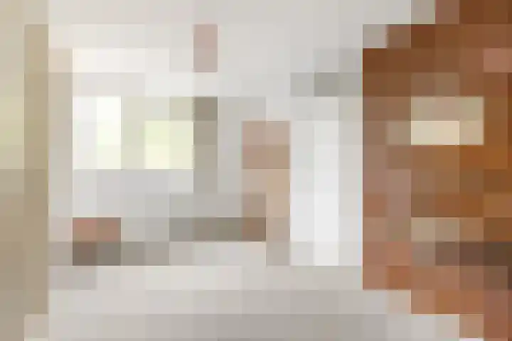 Zwanebloem 7 Maartensdijk thumbnail 28