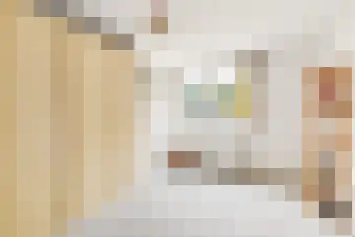 Zwanebloem 7 Maartensdijk thumbnail 29