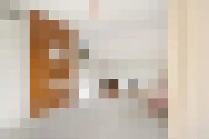 Zwanebloem 7 Maartensdijk thumbnail 30