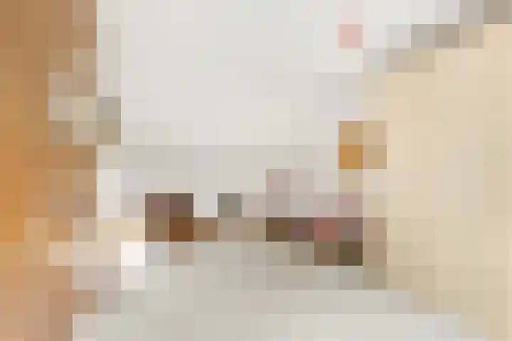 Zwanebloem 7 Maartensdijk thumbnail 31
