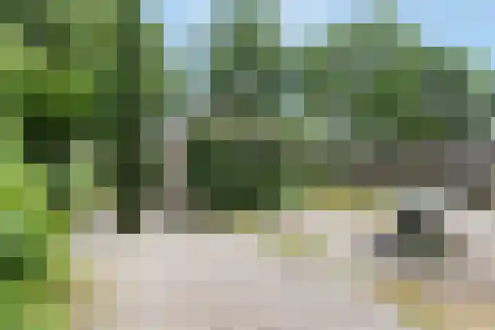 Zwanebloem 7 Maartensdijk thumbnail 33