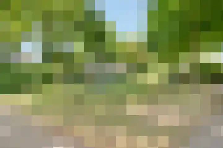 Zwanebloem 7 Maartensdijk thumbnail 36