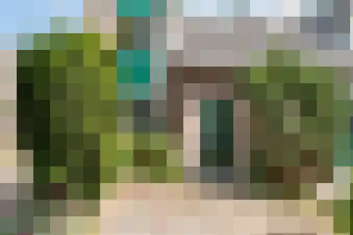 Zwanebloem 7 Maartensdijk thumbnail 4
