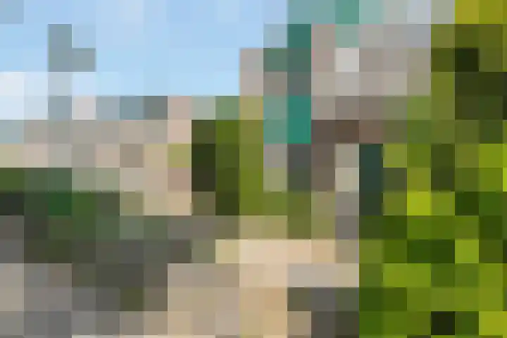 Zwanebloem 7 Maartensdijk thumbnail 5