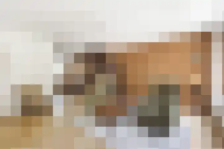 Zwanebloem 7 Maartensdijk thumbnail 6