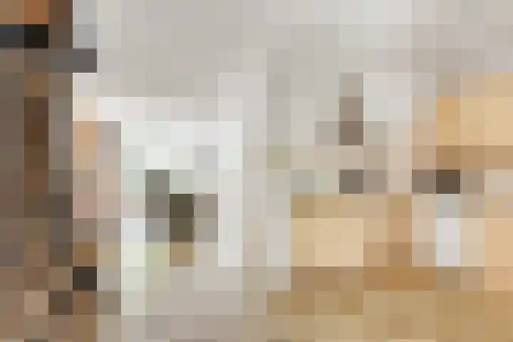 Zwanebloem 7 Maartensdijk thumbnail 7