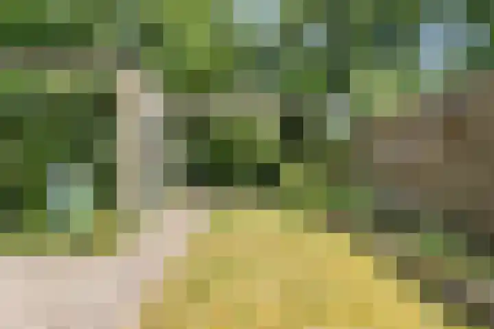 Zwanebloem 7 Maartensdijk thumbnail 8