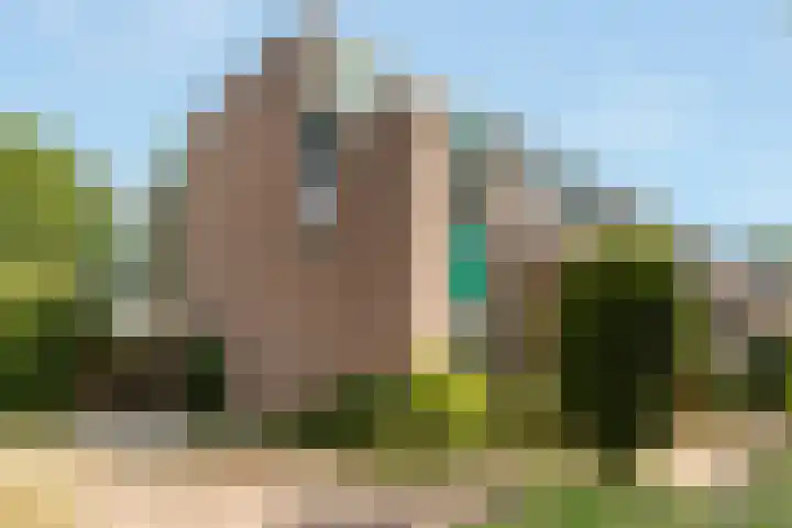 Zwanebloem 7 Maartensdijk thumbnail 9
