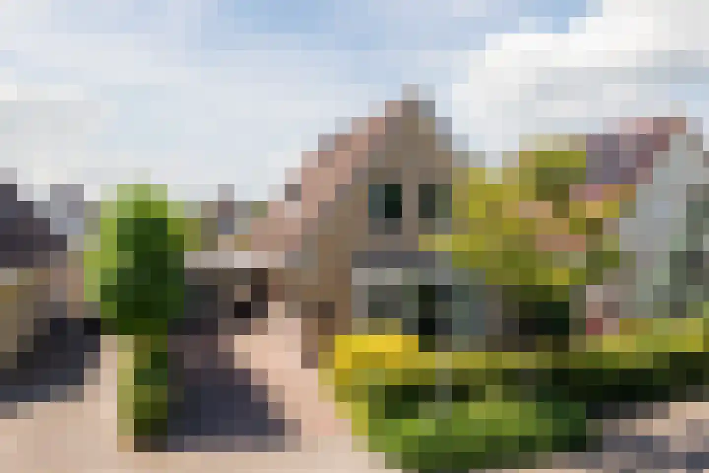 Zwanebloem 88 in Oudkarspel
