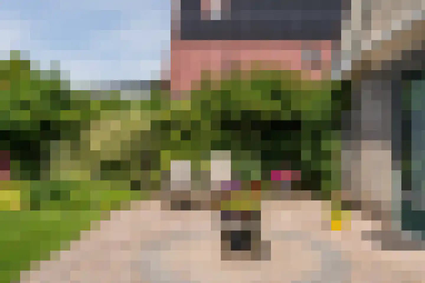 Zwanebloem 88 Oudkarspel thumbnail 24