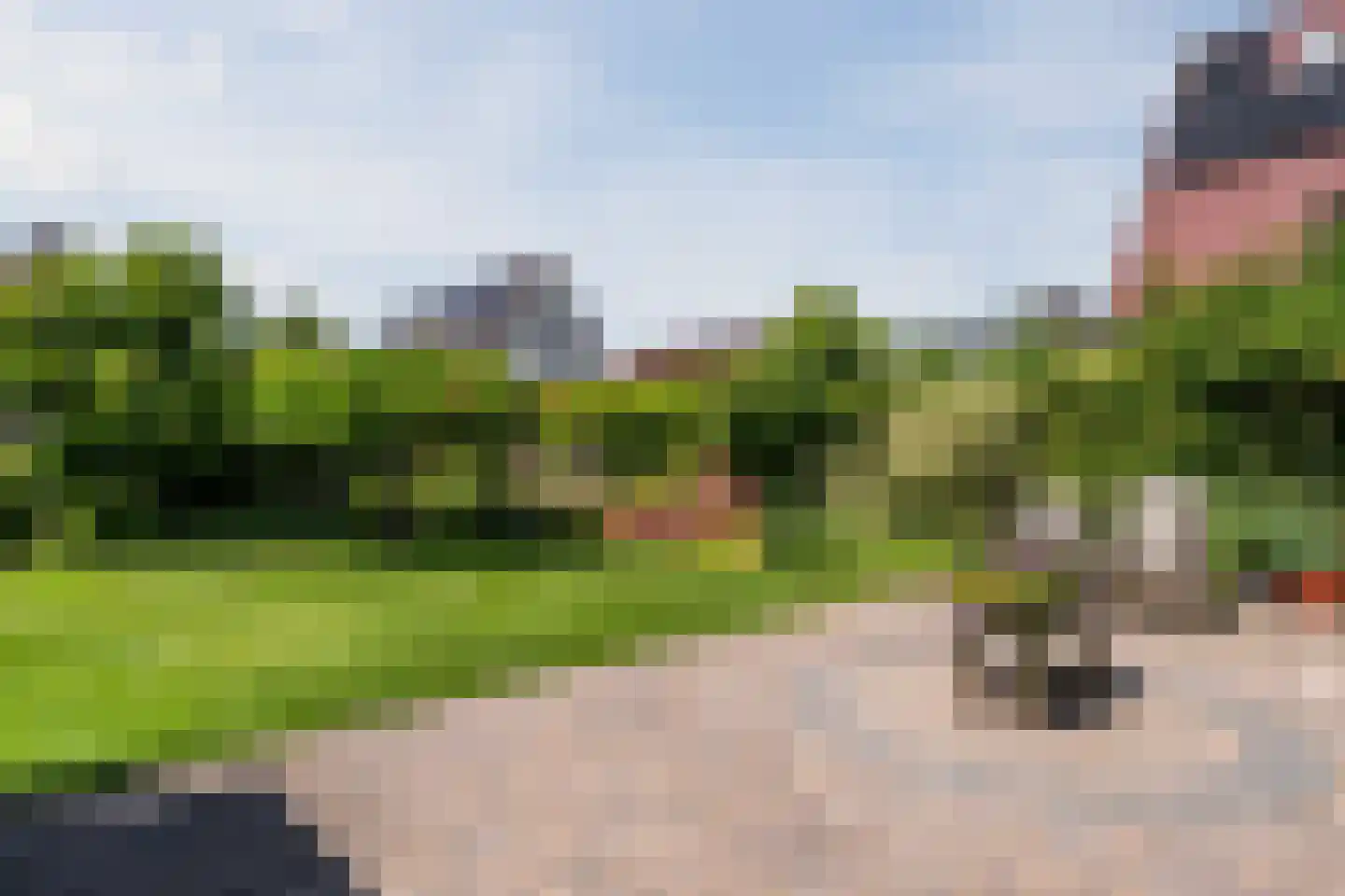Zwanebloem 88 Oudkarspel thumbnail 25
