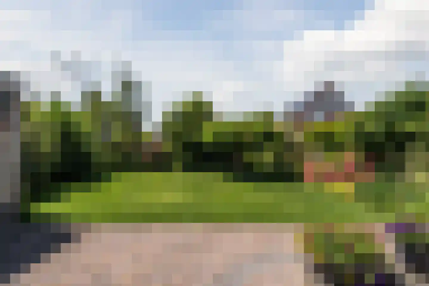Zwanebloem 88 Oudkarspel thumbnail 26