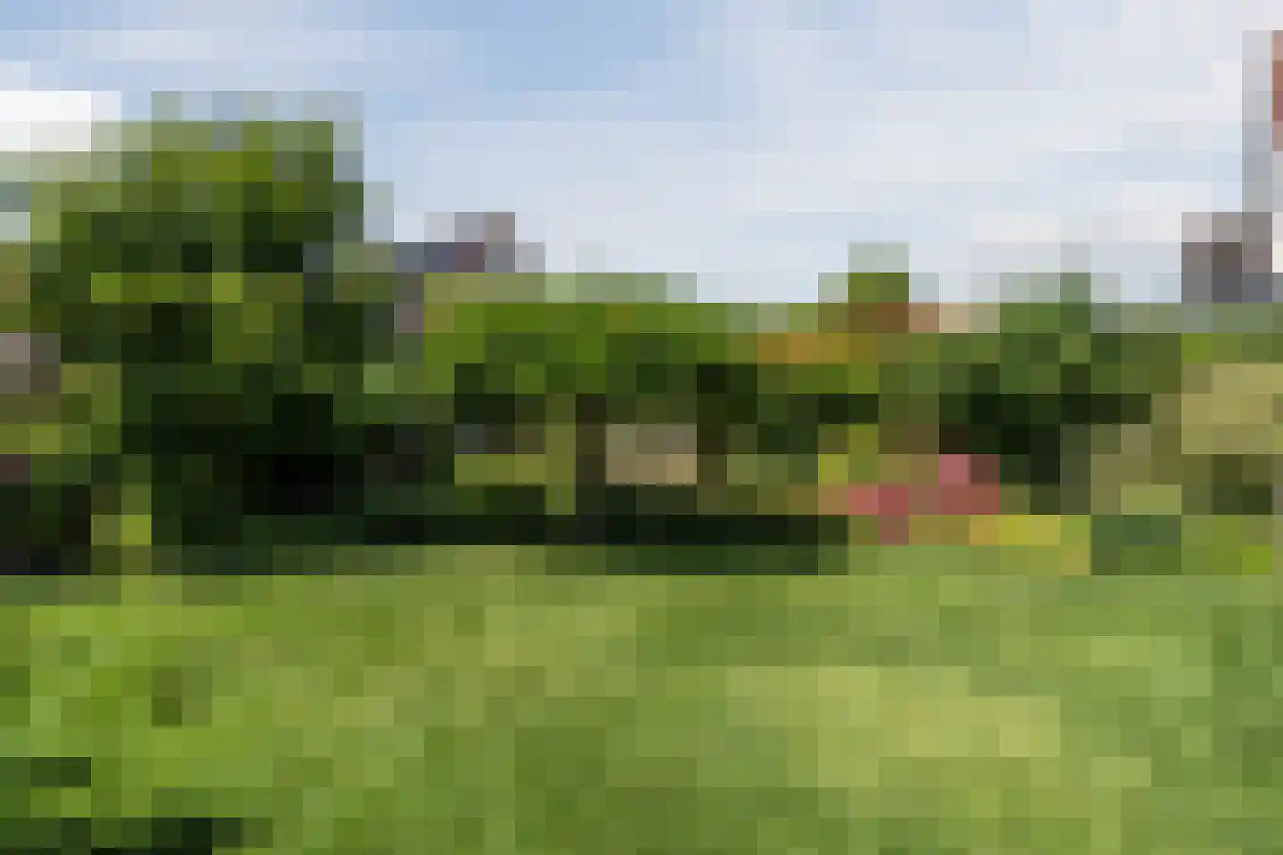 Zwanebloem 88 Oudkarspel thumbnail 27