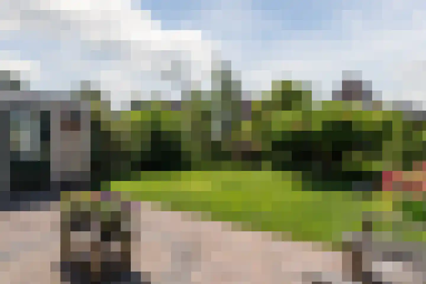 Zwanebloem 88 Oudkarspel thumbnail 28