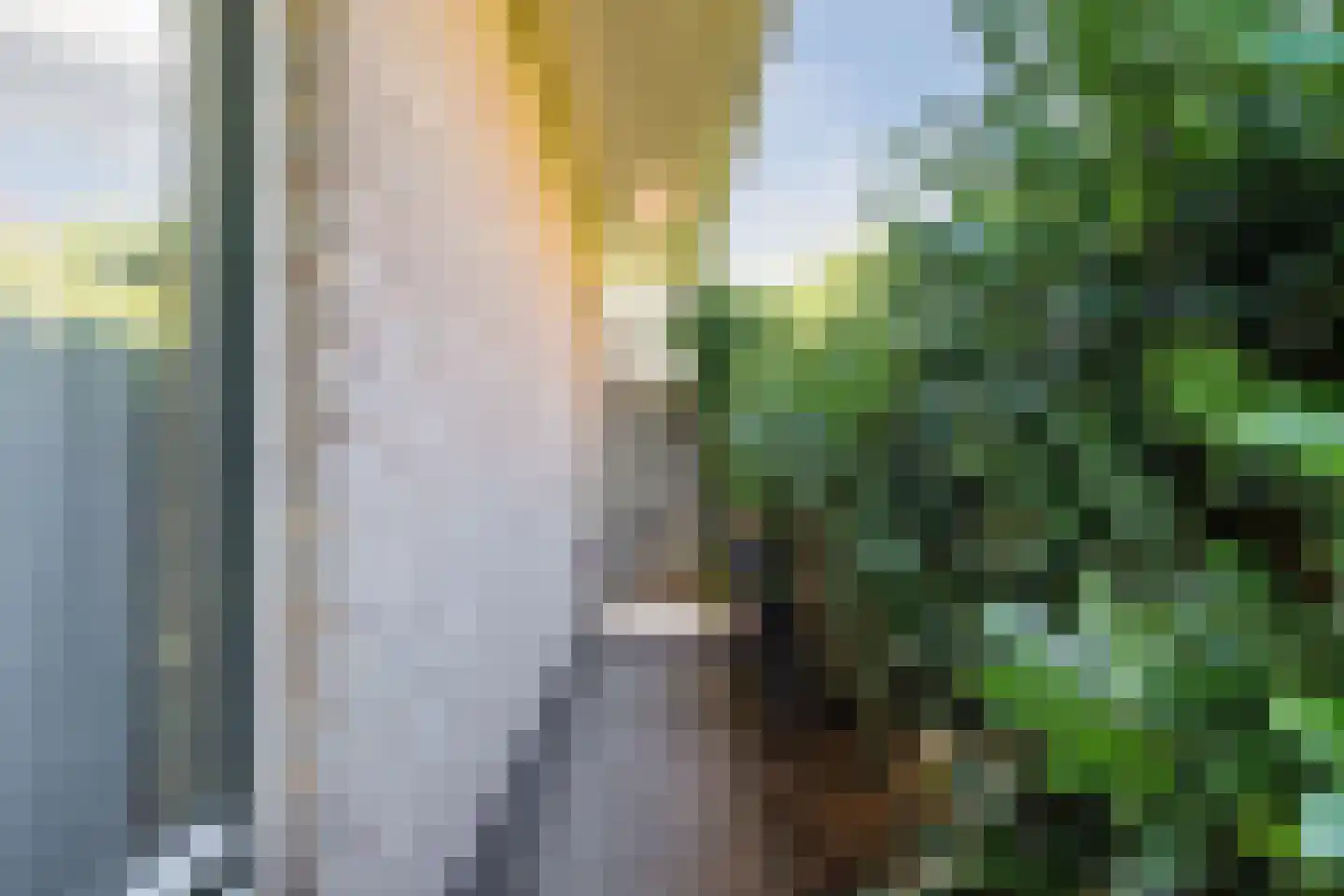 Zwanebloem 88 Oudkarspel thumbnail 32