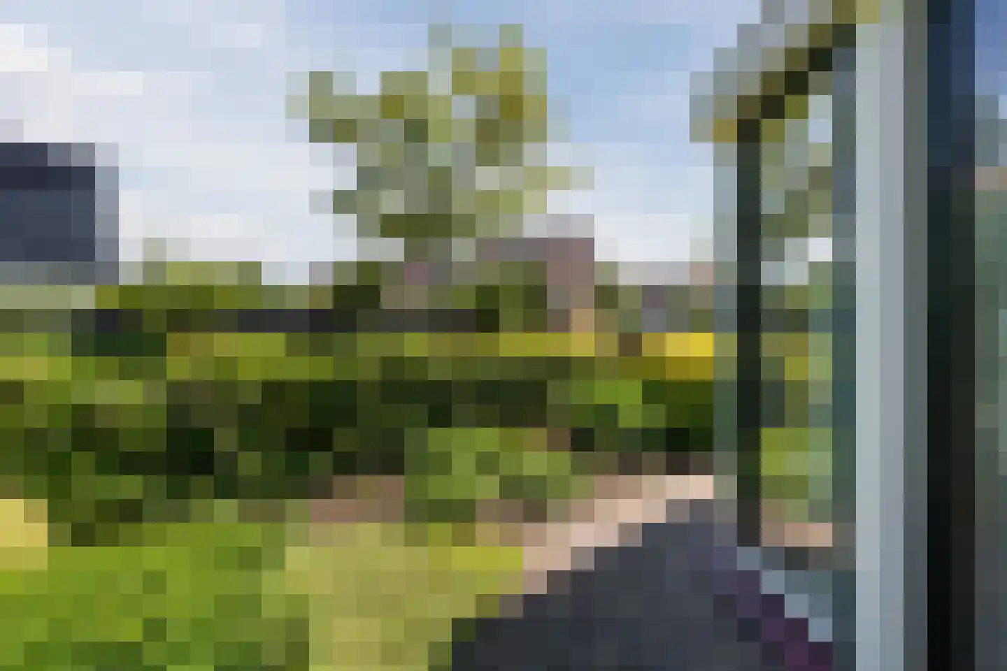 Zwanebloem 88 Oudkarspel thumbnail 33