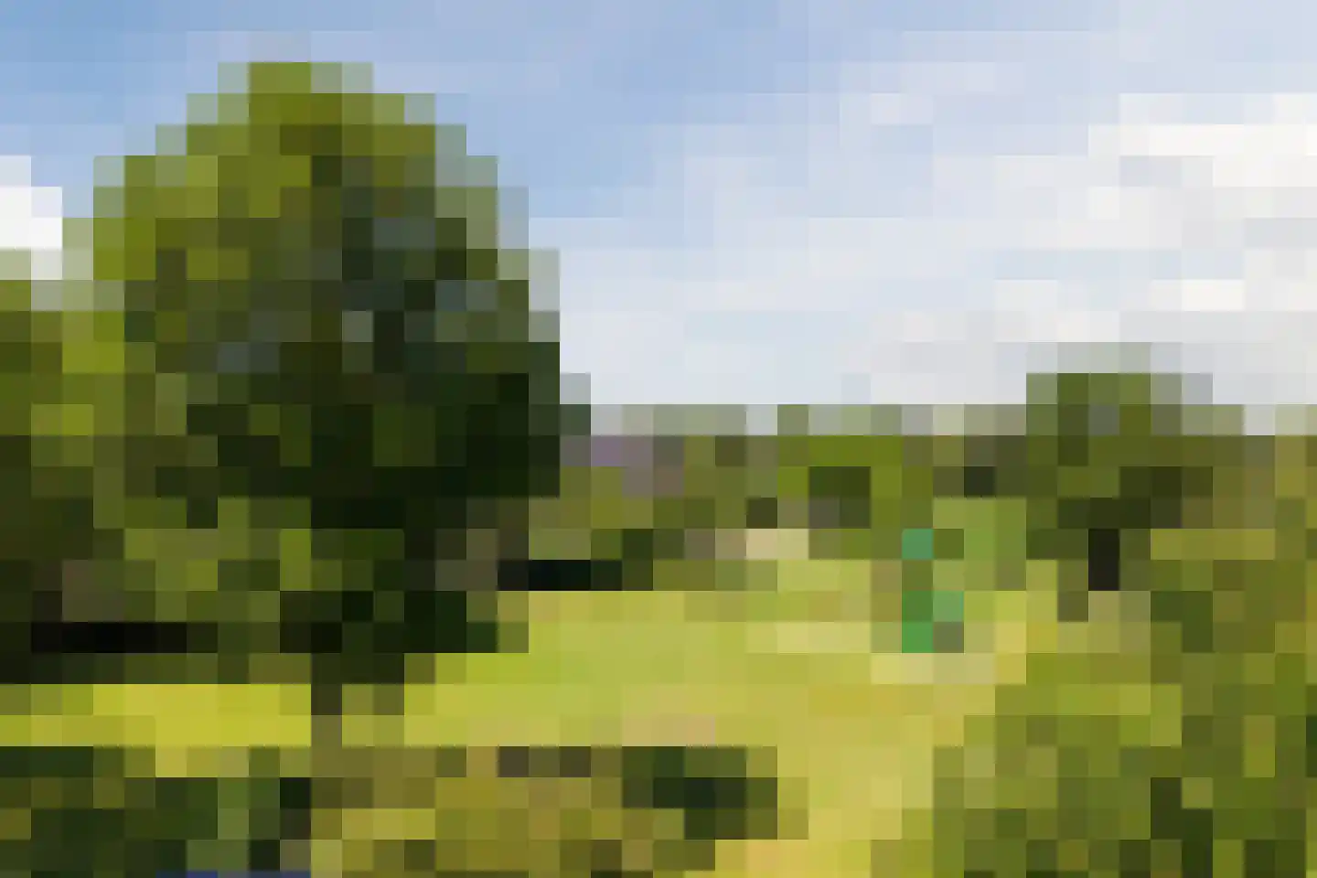 Zwanebloem 88 Oudkarspel thumbnail 37