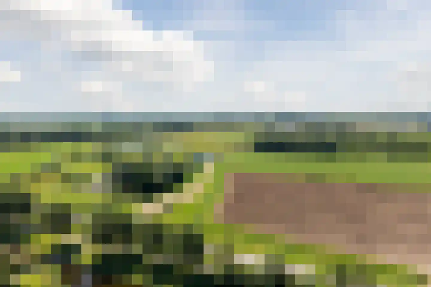 Zwanebloem 88 Oudkarspel thumbnail 38