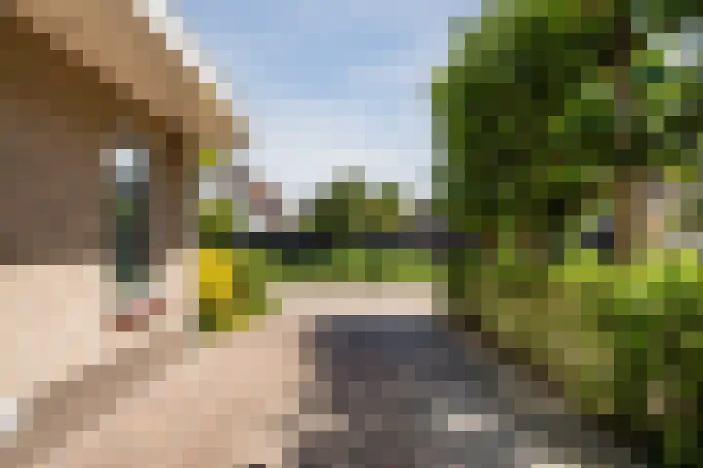 Zwanebloem 88 Oudkarspel thumbnail 39