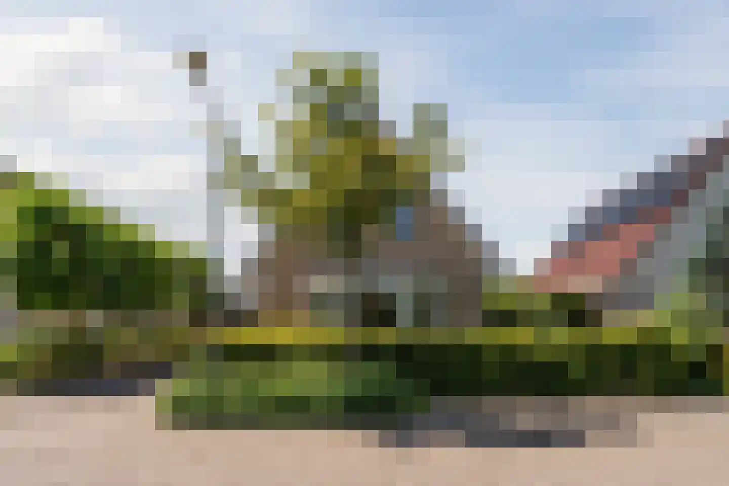 Zwanebloem 88 Oudkarspel thumbnail 42