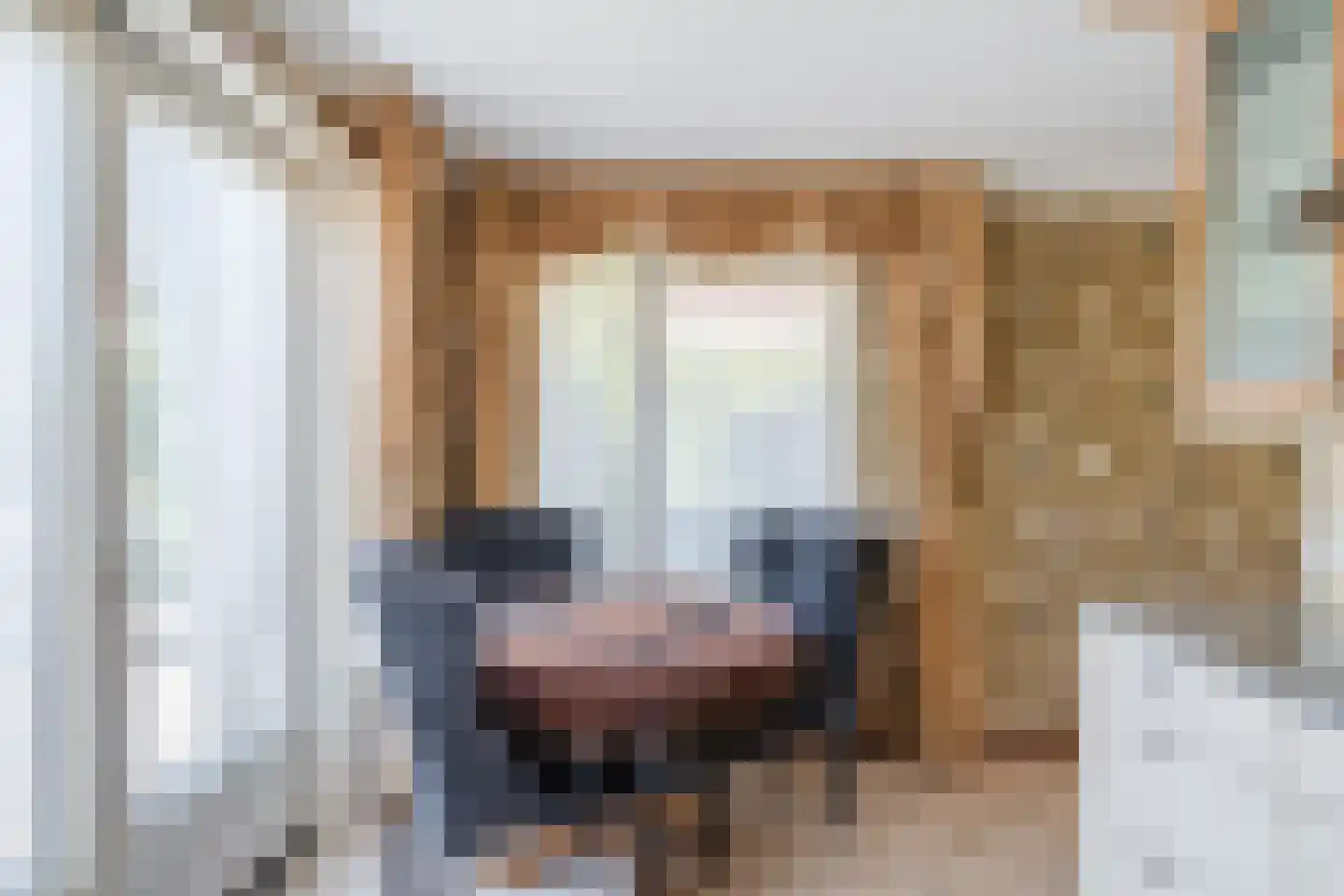 Zwanebloem 88 Oudkarspel thumbnail 7