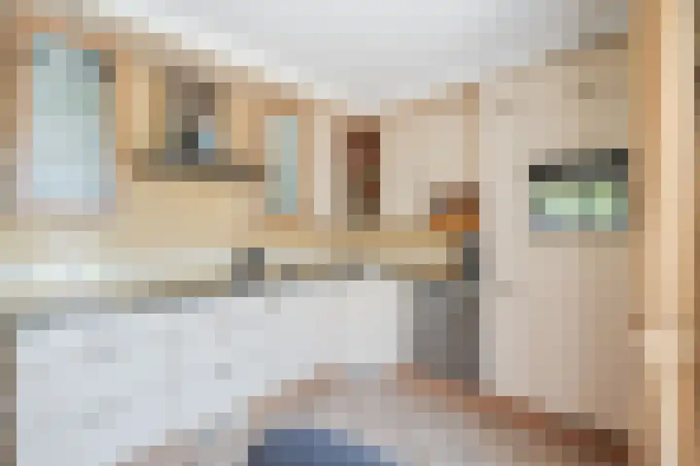 Zwanebloem 88 Oudkarspel thumbnail 8
