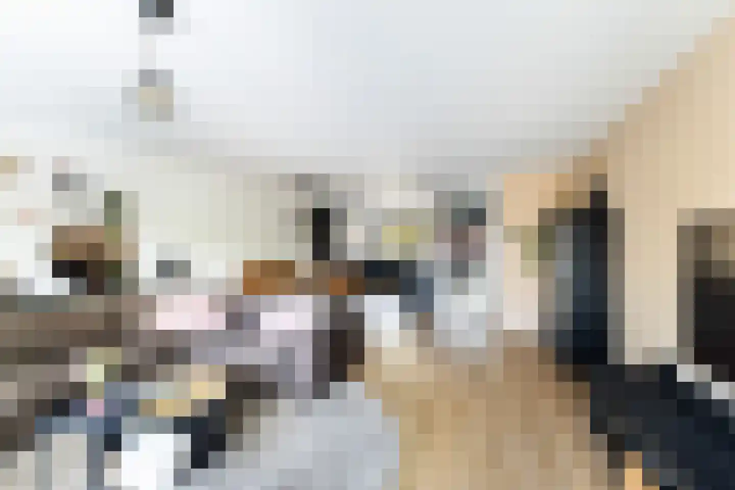 Zwanebloem 9 De Meern thumbnail 13