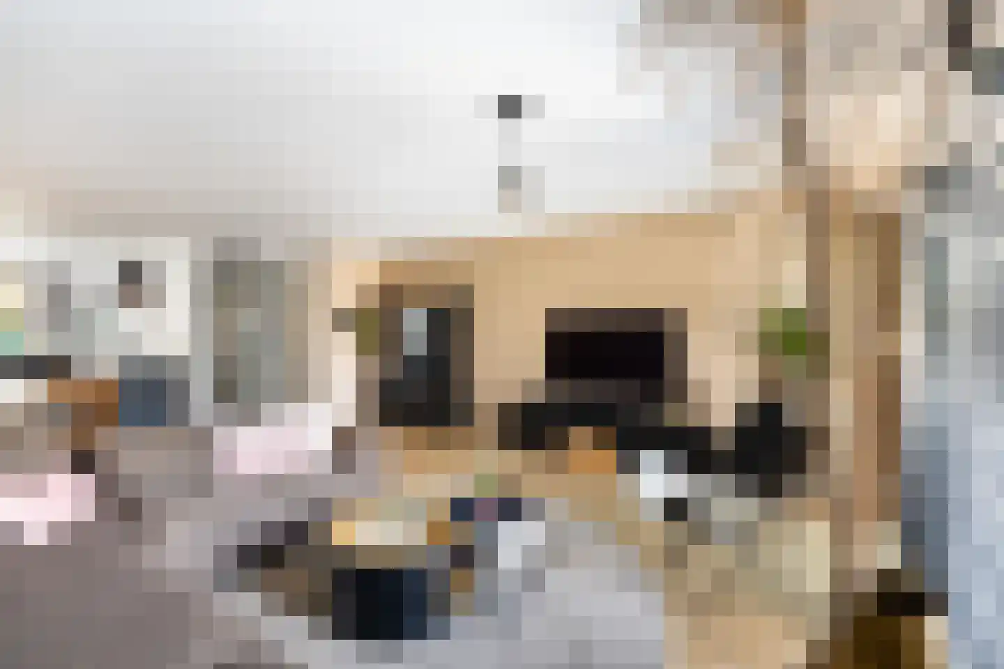 Zwanebloem 9 De Meern thumbnail 14