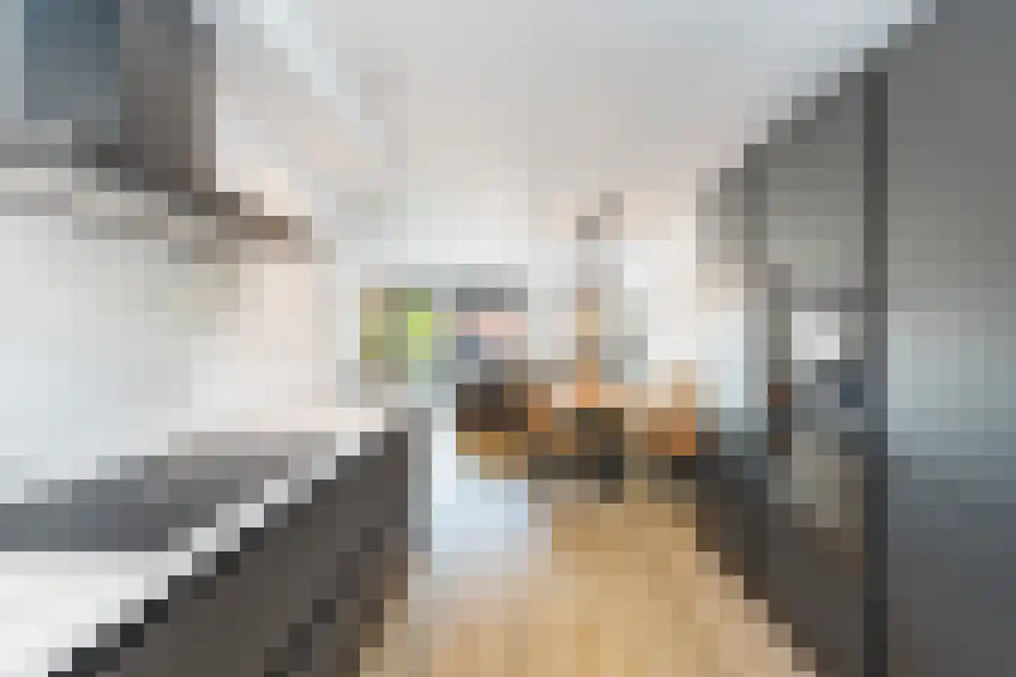 Zwanebloem 9 De Meern thumbnail 19