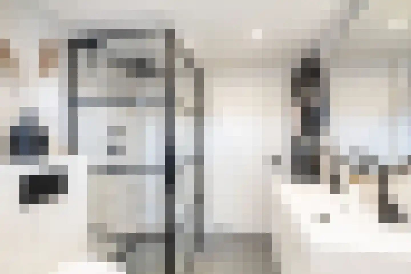 Zwanebloem 9 De Meern thumbnail 30