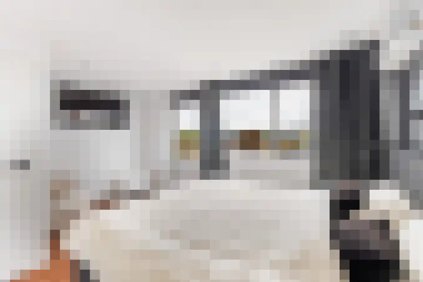 Zwanebloem 9 De Meern thumbnail 33