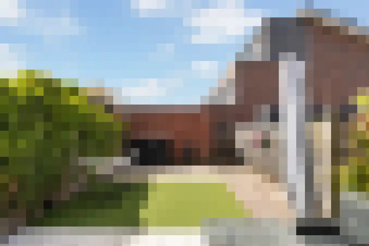 Zwanebloem 9 De Meern thumbnail 39