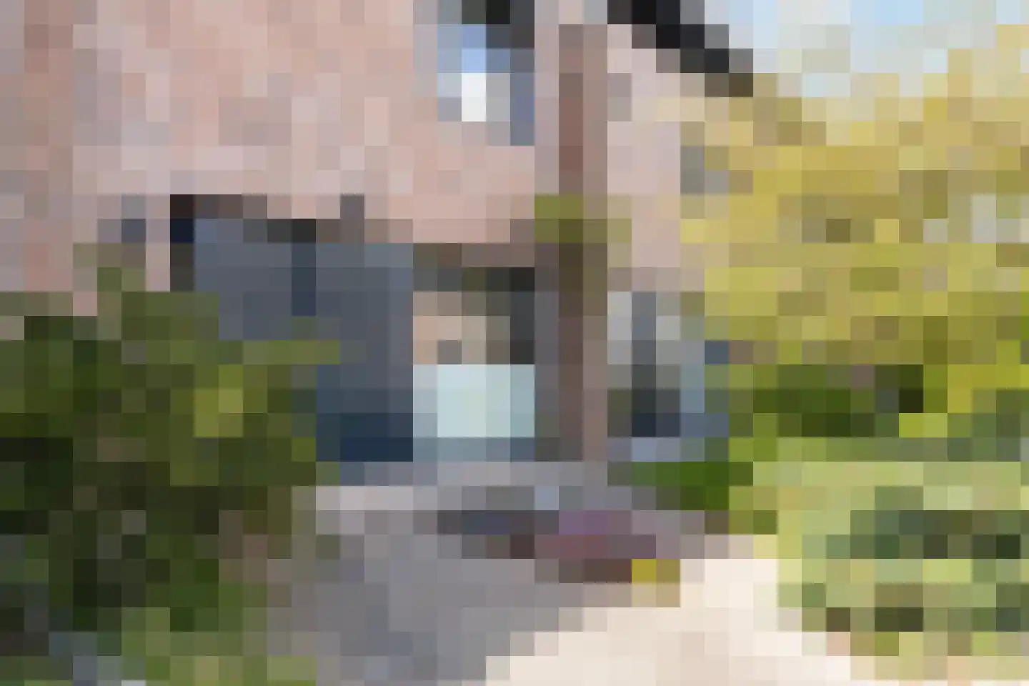 Zwanebloem 9 De Meern thumbnail 4