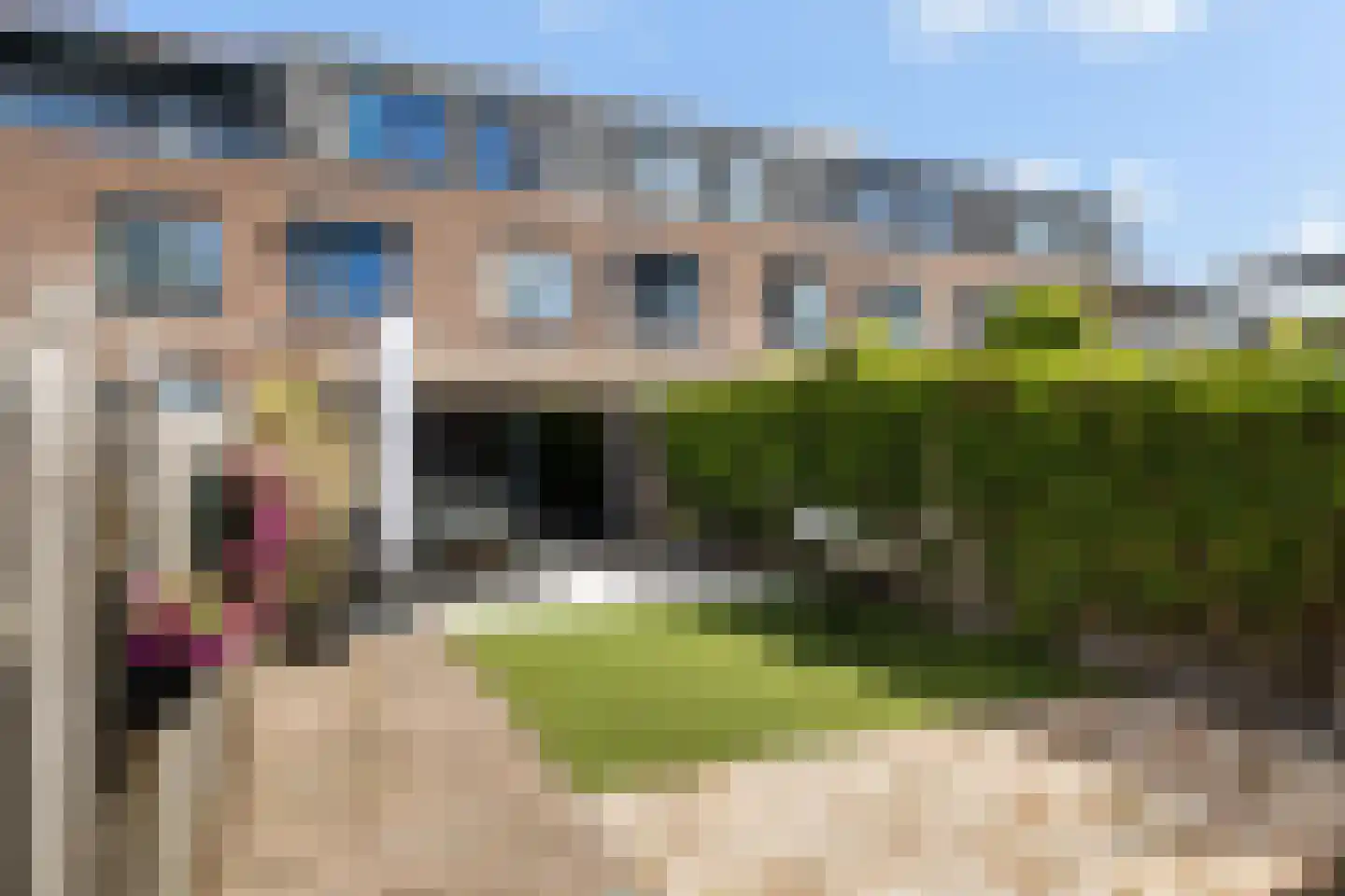 Zwanebloem 9 De Meern thumbnail 43