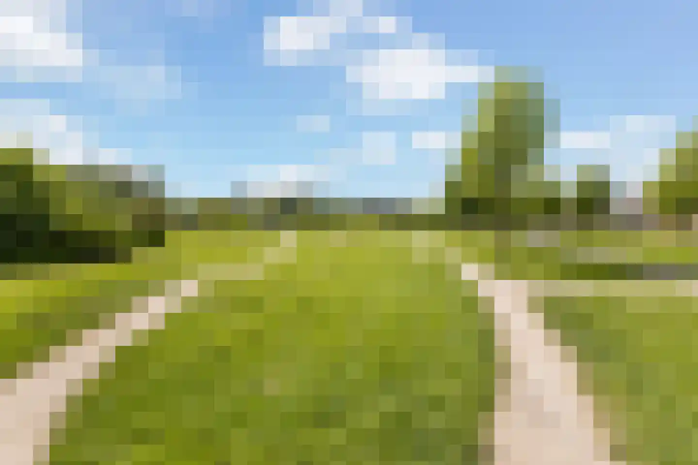 Zwanebloem 9 De Meern thumbnail 45