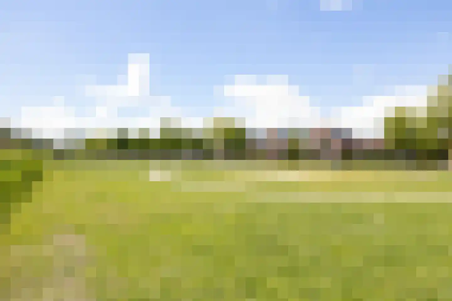 Zwanebloem 9 De Meern thumbnail 46