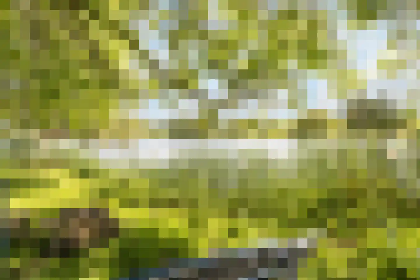 Zwanebloem 9 De Meern thumbnail 47